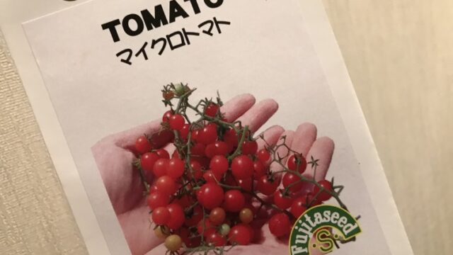 マイクロトマト　種